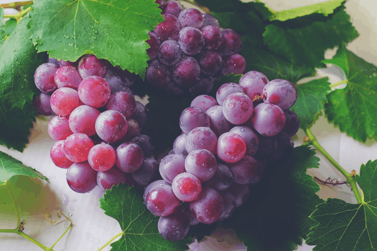 9. Grapes