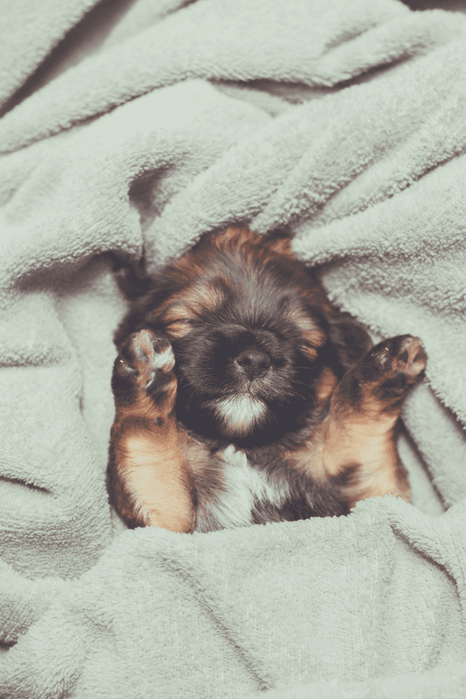 Why Do We Feel Safe Under a Blanket?