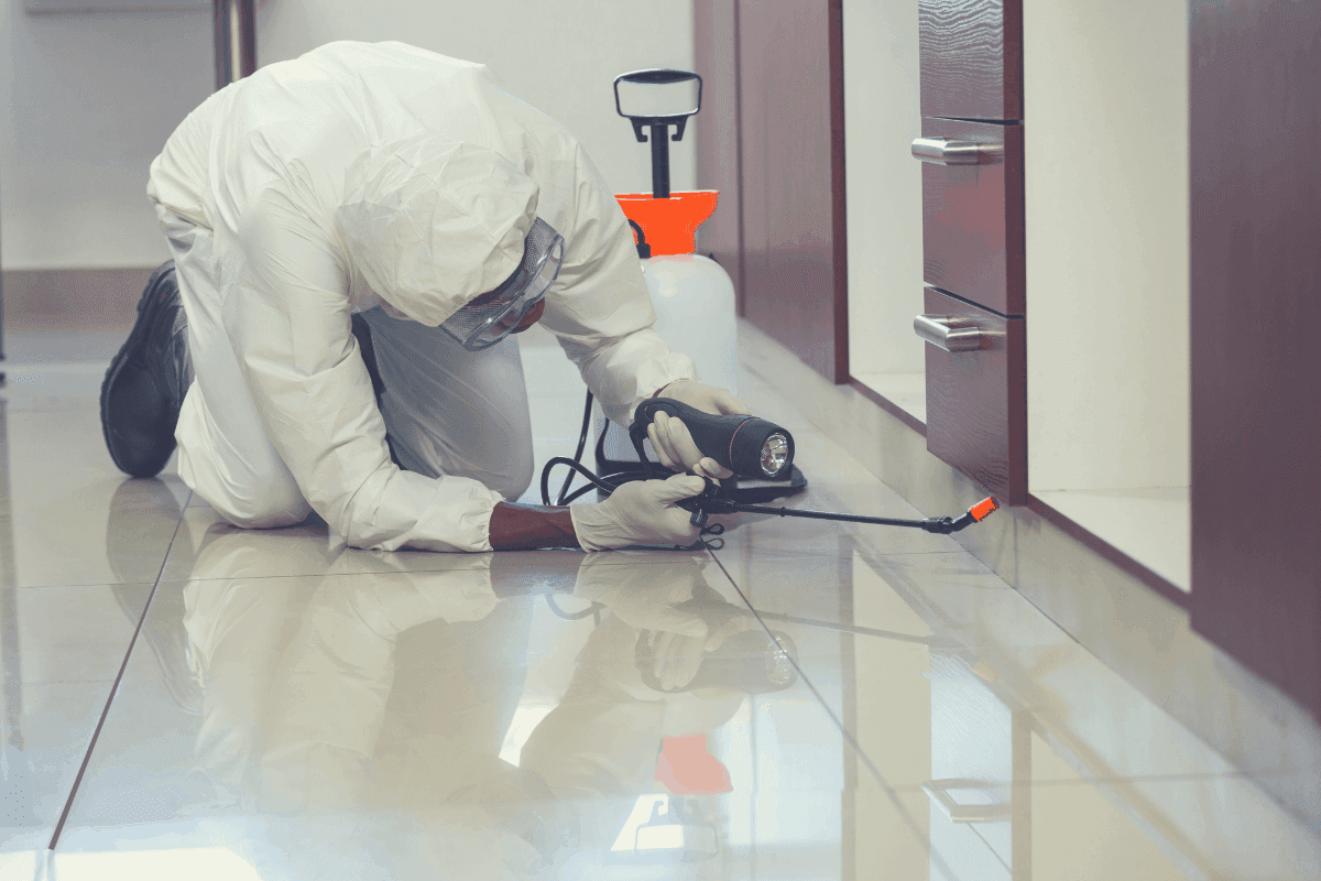 6. Spray A Bed Bug Killer