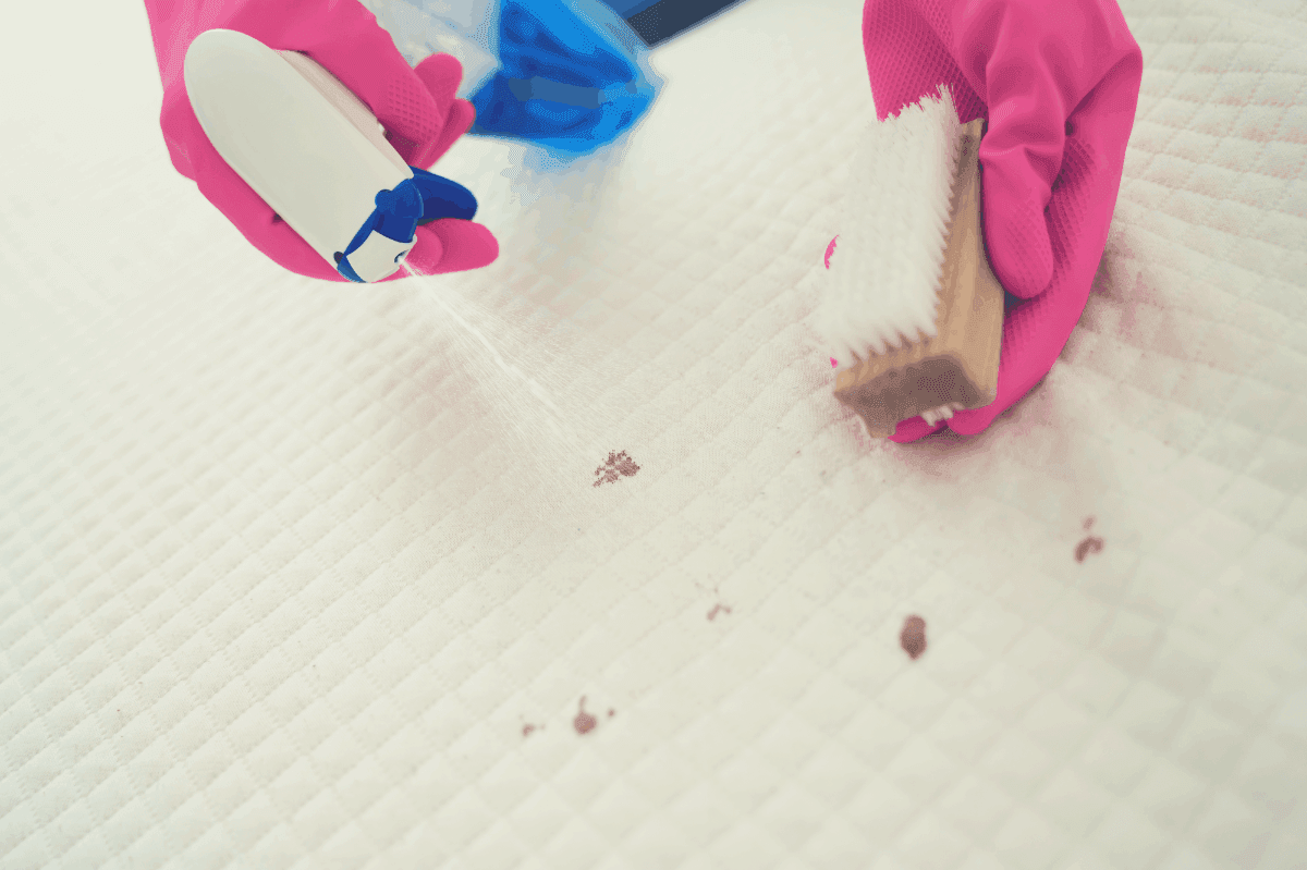 memory foam cleaning professional
