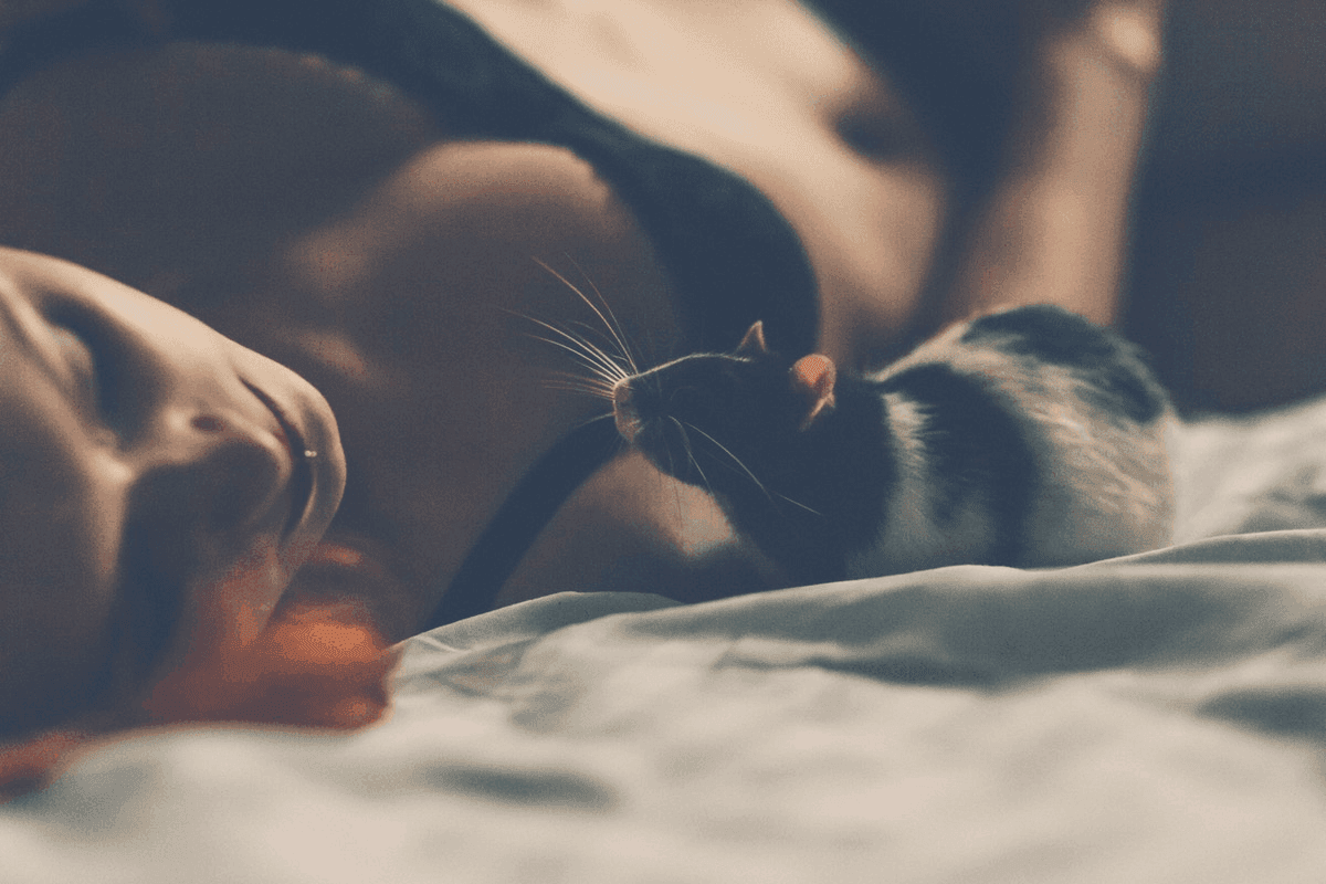 Will Mice Bother You While Sleeping?