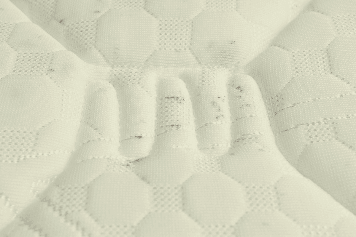 How to Prevent Mold Under Mattress: The Complete Guide