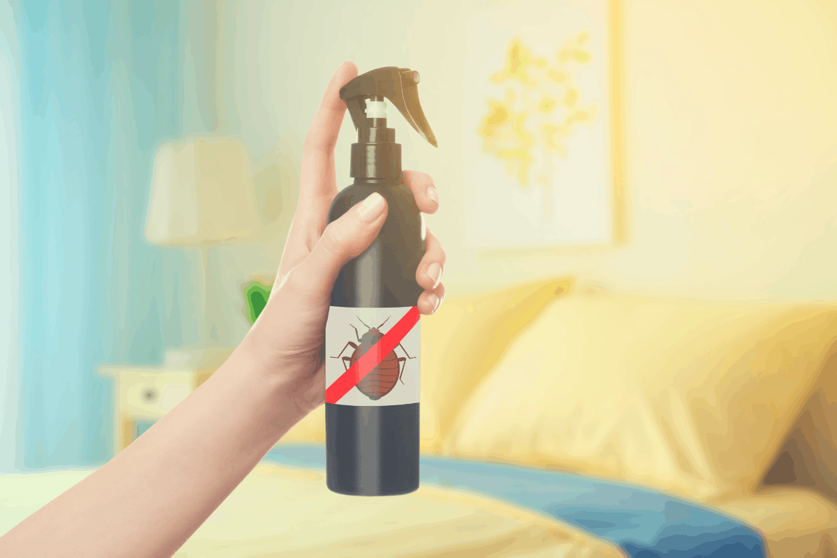 spider bed bedbug spray