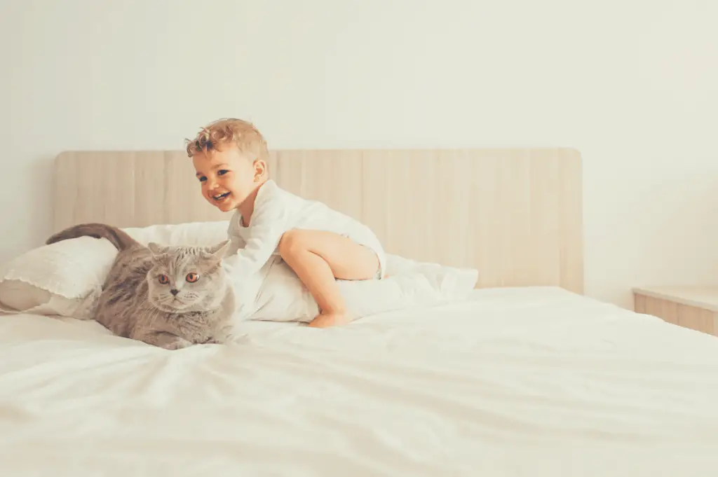 the best mattress for toddlers