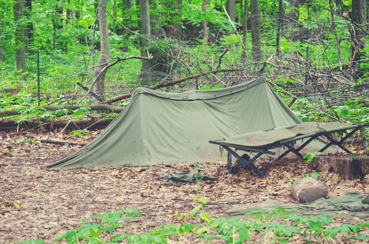 camping cot by a green tent