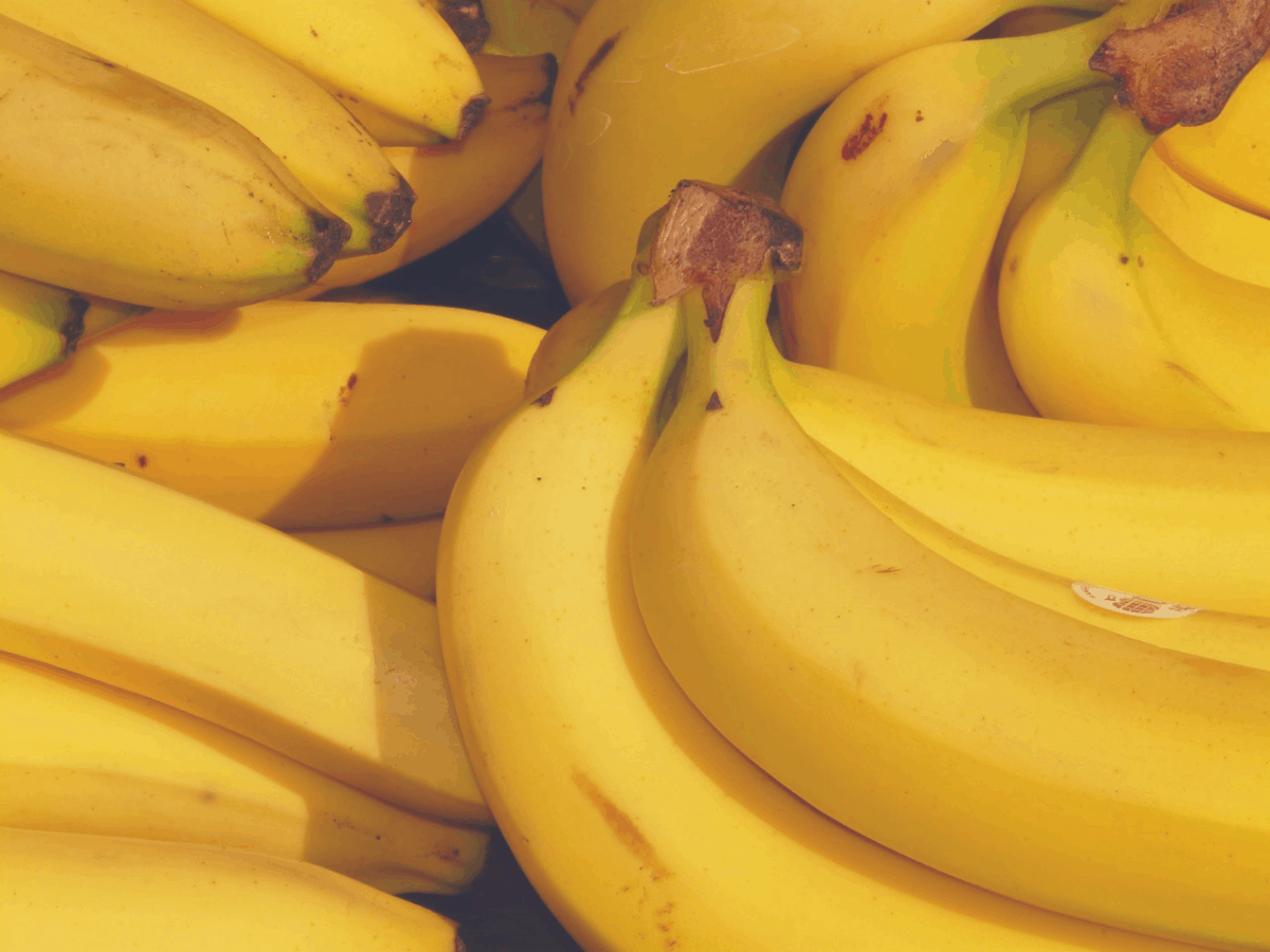 ripe bananas ready for breakfast