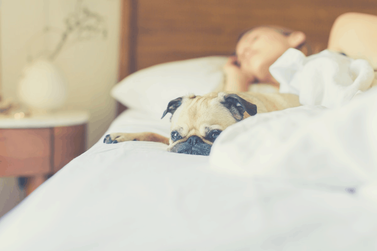 woman sharing a bed with her dog