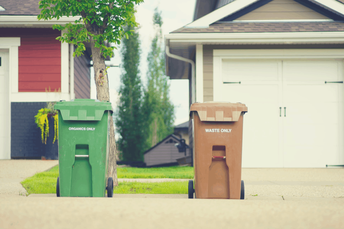 green and brown dustbins in front of homes