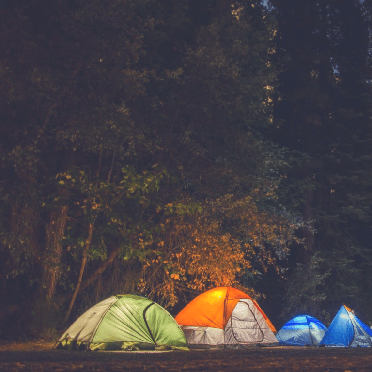 can-you-sleep-in-your-car-at-a-rest-stop