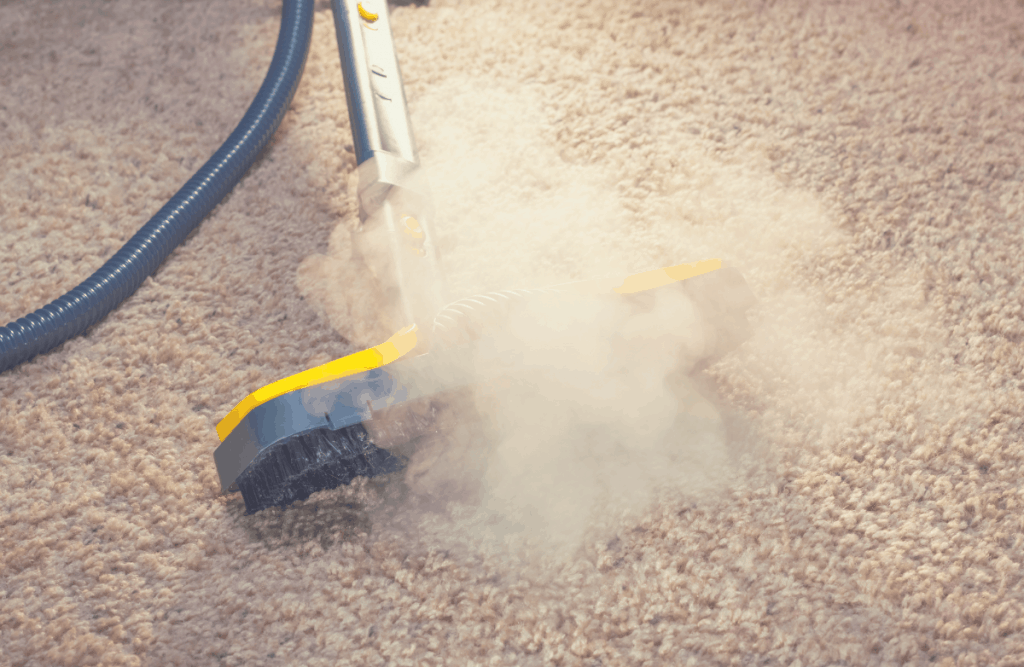 How to Get Rid of Carpet Beetles in A Mattress [Guide with Steps]