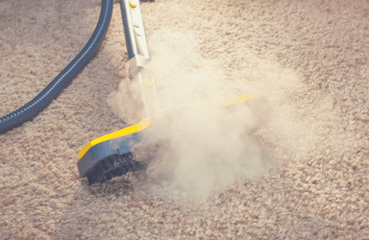 blue carpet steamer in use