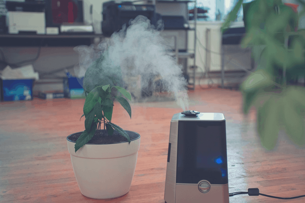 humidifier running in an environment