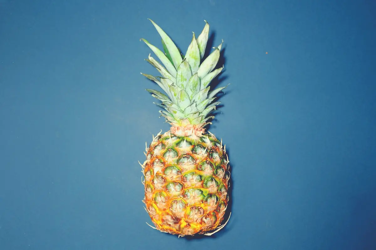 fresh pineapple fruit